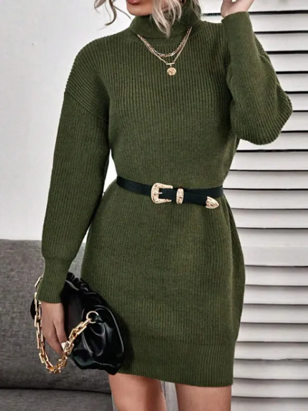 Matior™ | Viral Turtleneck Dress