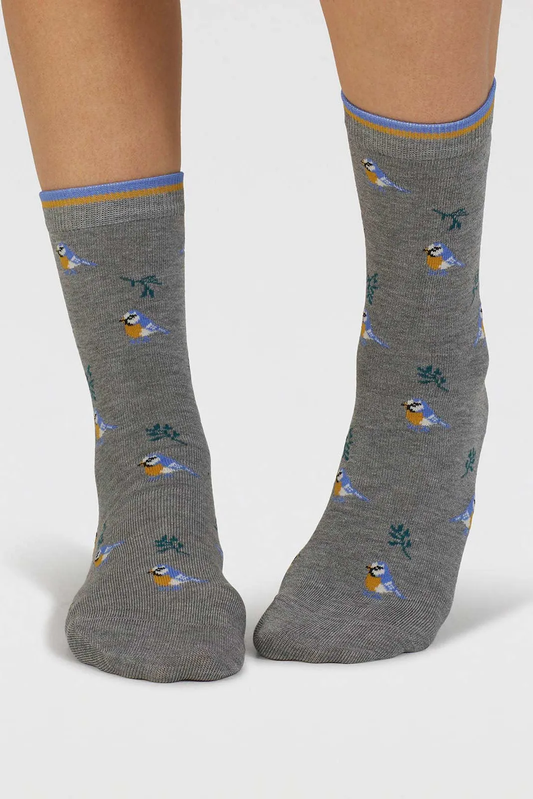 Thought Ginney Patterned Bamboo 7 Pack Sock Gift Box